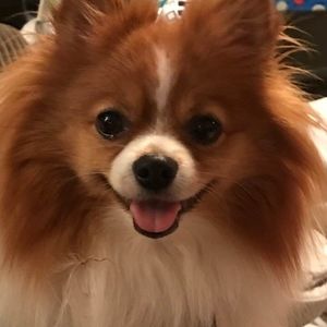 Meet your Posher, Melyssa